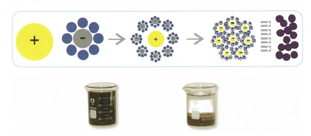 混凝沉淀法 水凈化的“黑科技”與檢測科技的完美結合