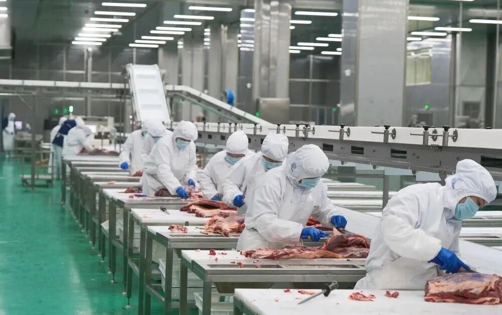 新年開好局！河南新城三大項目齊發力，凈化科技繪就生態新畫卷